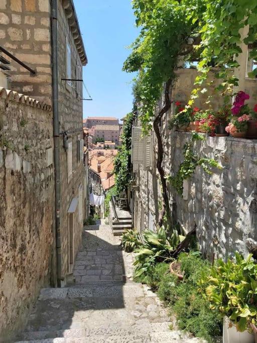 House Marija In Old Town Apartment Dubrovnik Bagian luar foto