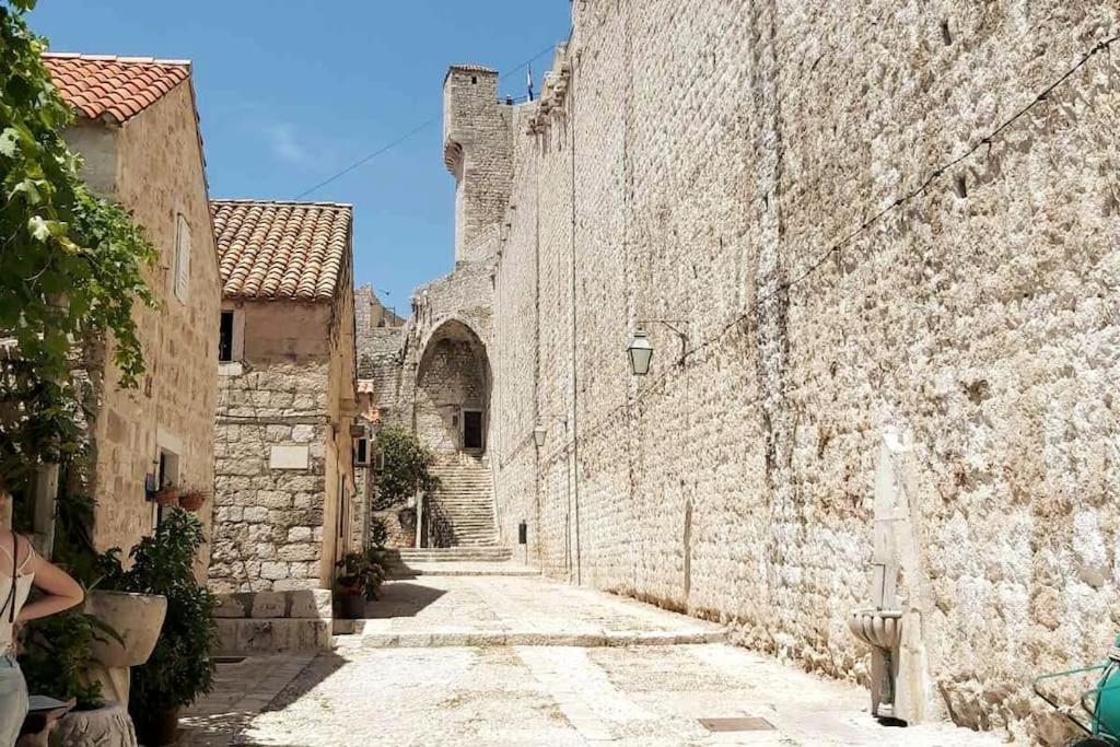 House Marija In Old Town Apartment Dubrovnik Bagian luar foto