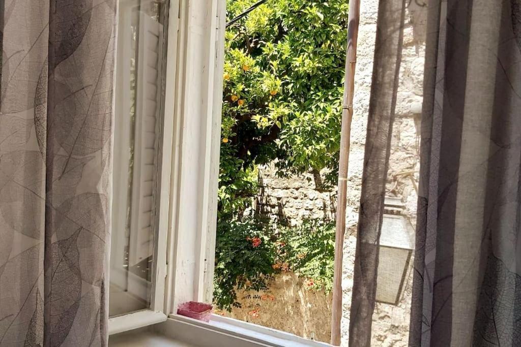 House Marija In Old Town Apartment Dubrovnik Bagian luar foto